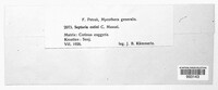 Image Associated With the Occurrence